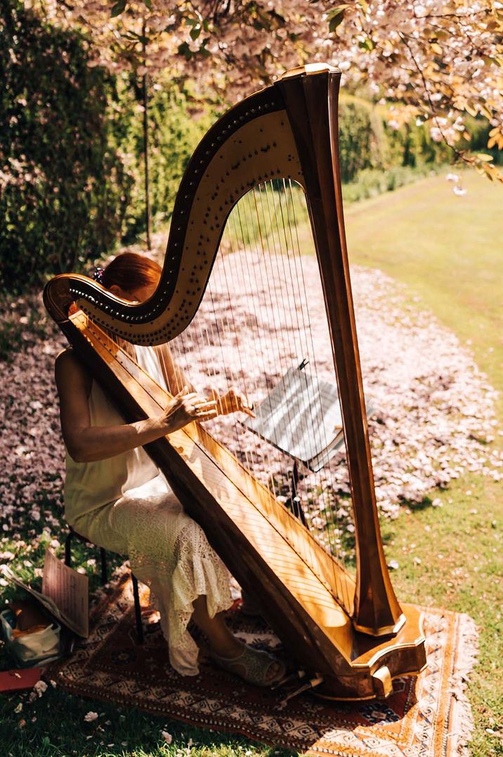 harpist wedding ceremony music at Pennard House 