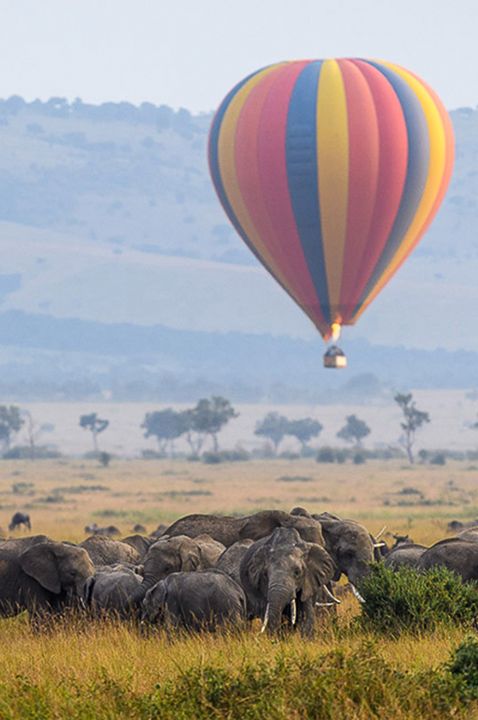 Image of honeymoon destination featuring a hot air balloon Safaris over the Masai MaraHome