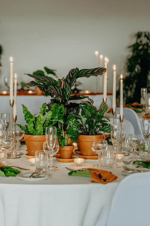 Jaguar Suite at the Dartmoor Zoo with tablescape decorated with green foliage in terracotta plant pots 