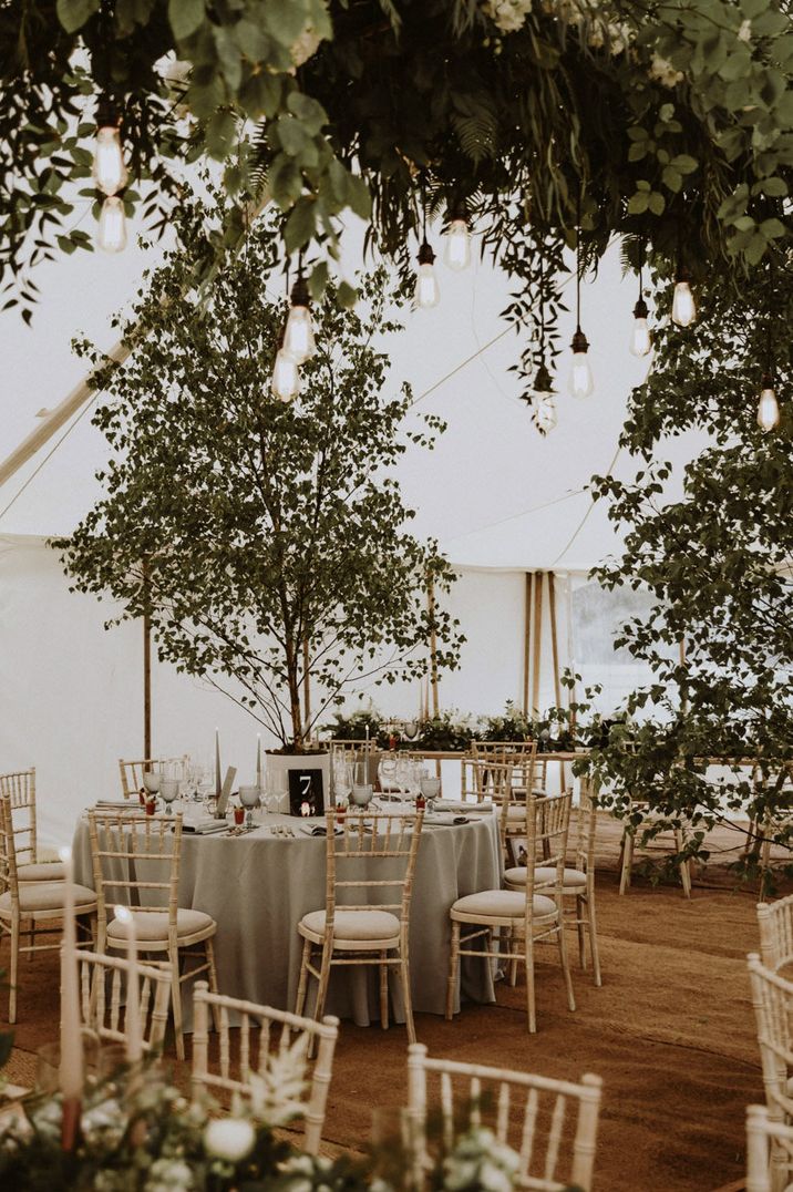 Marquee wedding reception with green foliage, trees and Edison bulb decor