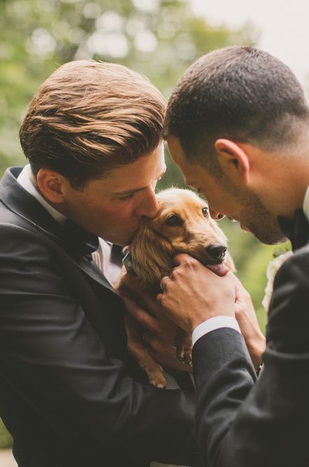 Two grooms kissing their long-haired pet Dauschung Winston at their black-tie wedding