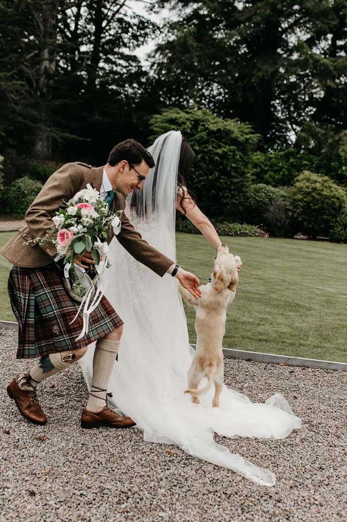 Bride and groom play with their pet dog with a green bow tie collar at their wedding under 5k