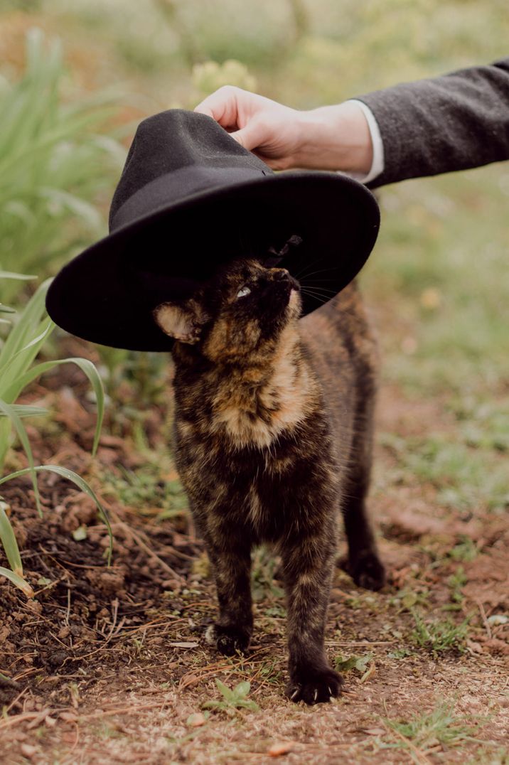 Cat in a hat a back garden wedding with christian blessing