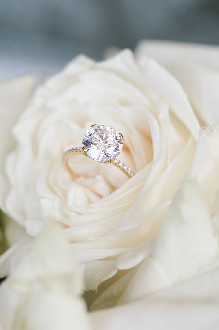 Large diamond engagement ring on white rose 