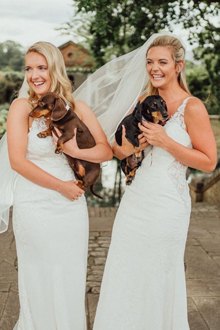 Dauschund pets at weddings with two brides in complementing lace wedding dresses 