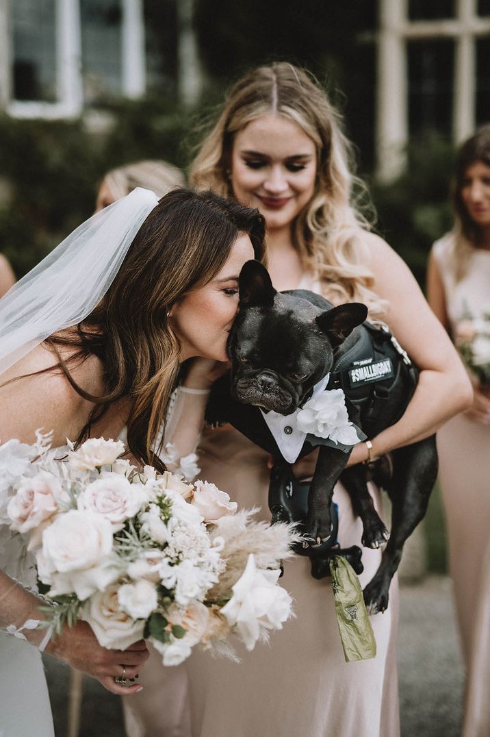 The bride holding a neutral blush pink wedding bouquet kisses the dog wearing a tuxedo 