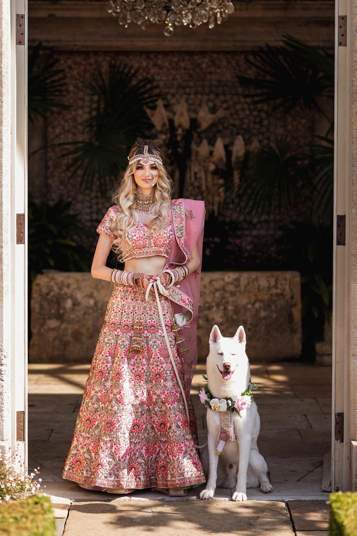 Bride in pink floral bridal two piece with veil and gold jewellery standing with pet dog for the multicultural wedding 