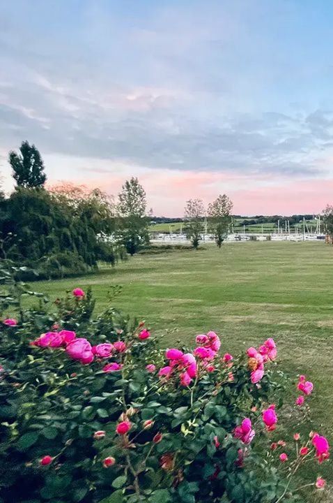 pinkmead estate vineyard wedding venue main lawn