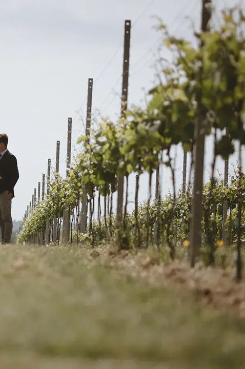 pinkmead estate vineyard wedding with couple in vineyard