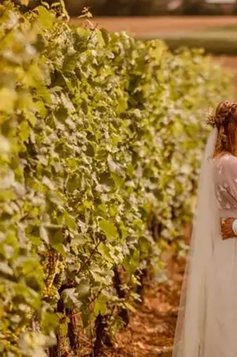 tuffon hall vineyard wedding venue, couple in grapevine rows