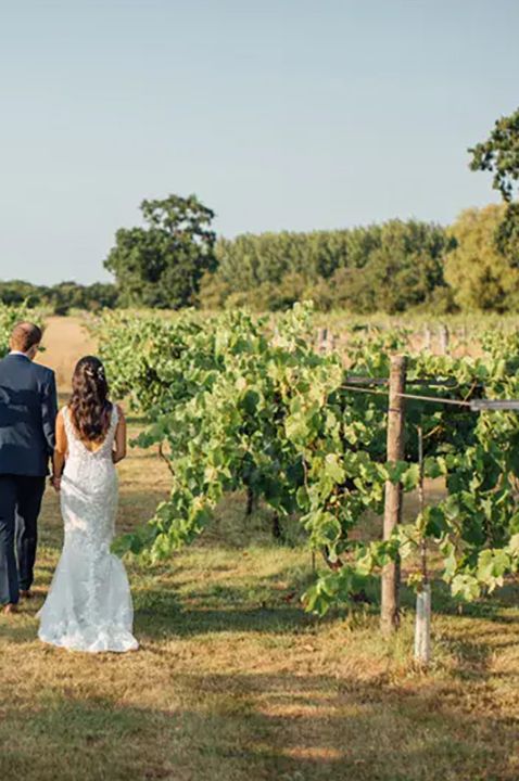 wickham estate vineyard wedding venue, couple in grapevine rows on wedding day