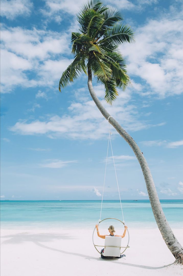 palm-tree-with-swing-at-maldives-exotic-holiday