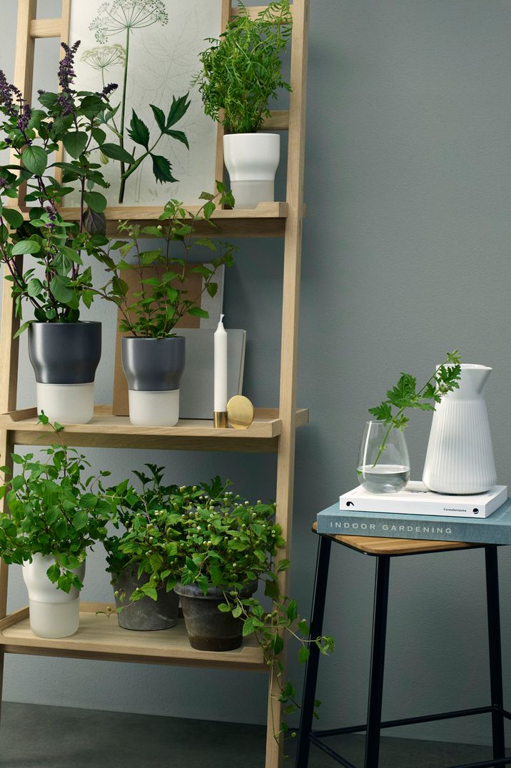 Eva Solo Self Watering Plants at The Wedding Shop