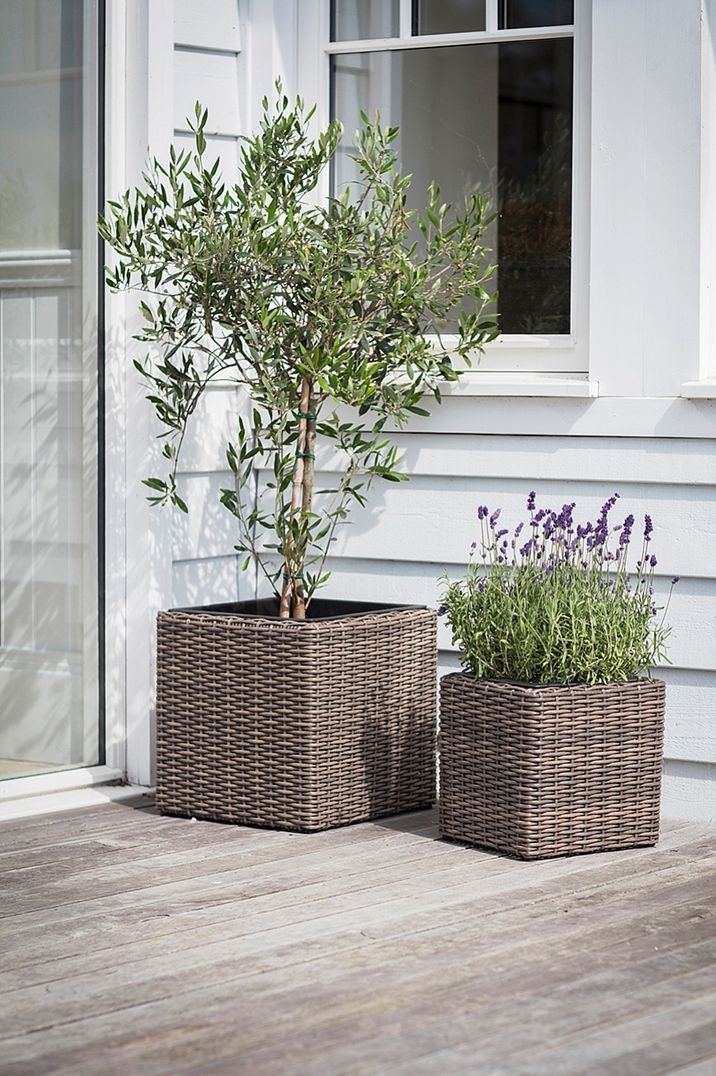 Garden Trading Company Planters at The Wedding Shop