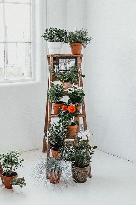 Wooden step ladder and potted plant wedding decor