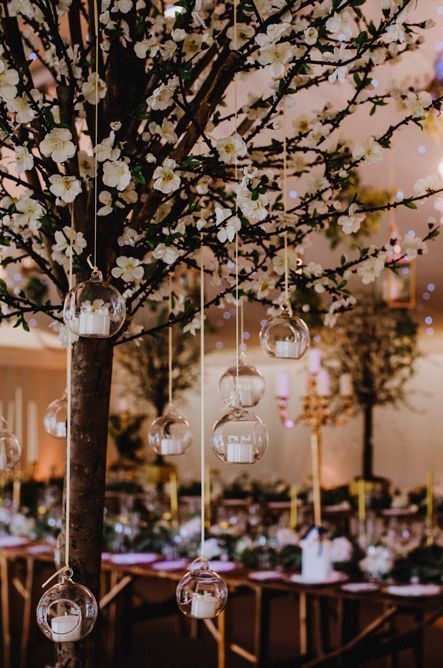 Elegant White Wedding At Iscoyd Park With Bride In Pronovias &amp; Blossom Tree Installation Marquee With Images From Steve Gerrard Photography