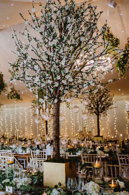 Elegant White Wedding At Iscoyd Park With Bride In Pronovias &amp; Blossom Tree Installation Marquee With Images From Steve Gerrard Photography