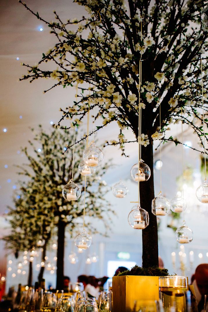 Elegant White Wedding At Iscoyd Park With Bride In Pronovias &amp; Blossom Tree Installation Marquee With Images From Steve Gerrard Photography