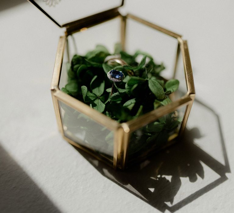 Blue engagement ring in clear and gold ring box with greenery