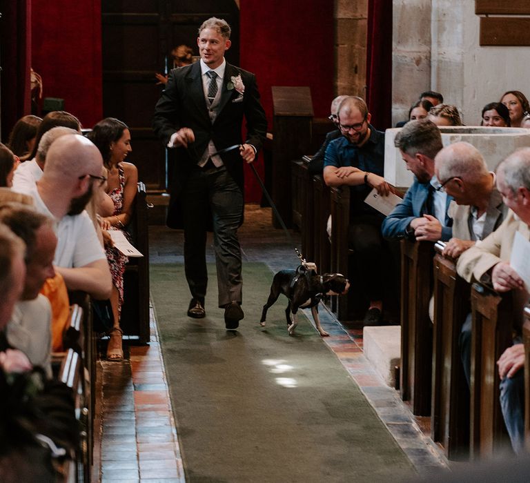 Groomsmen in a three piece suit walks down the aisle with the bride and groom's pet dog, Brains