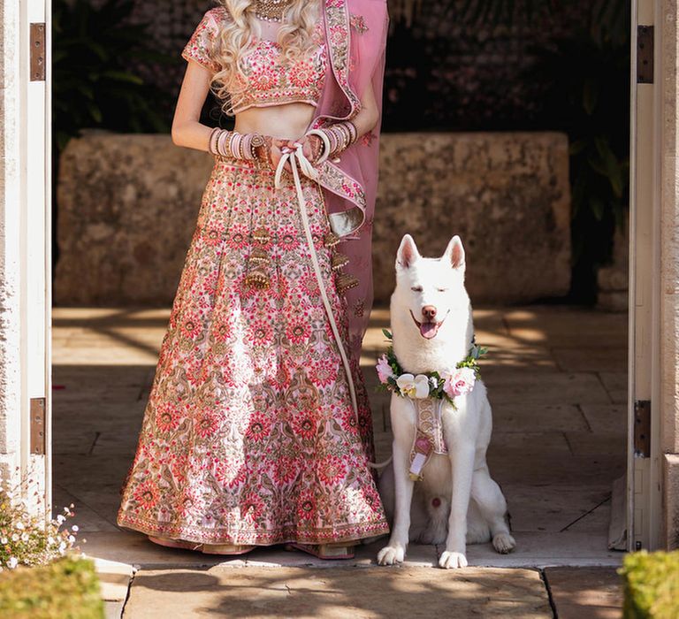 Bride in pink Indian wedding dress with her pet dog 