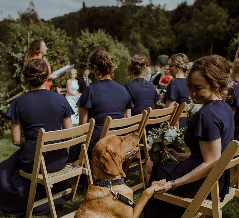 Bridesmaids in navy blue dresses and pet dog shakes hands with a bridesmaids