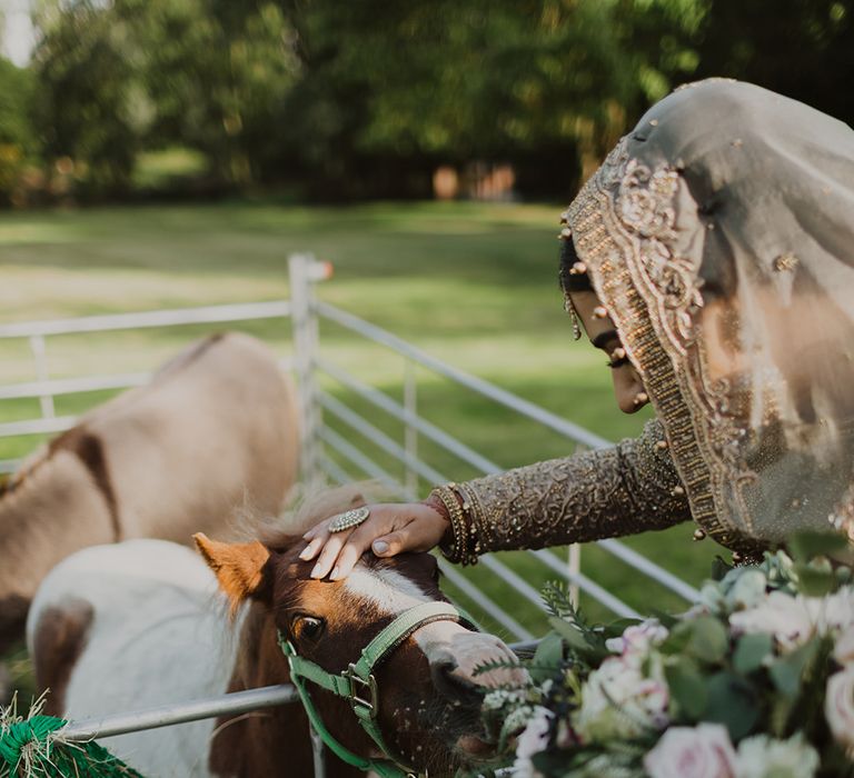 Petting zoo at multicultural wedding 