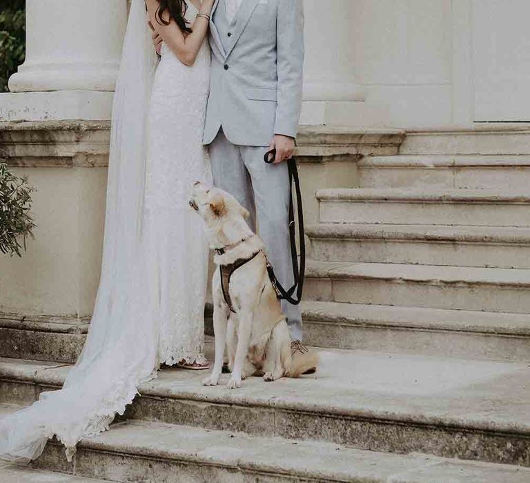 Bride and groom with pet dog at Pylewell Park wedding