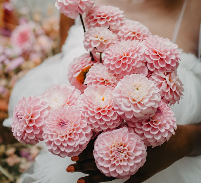 Bride holding baby pink bouquet of dahlias 