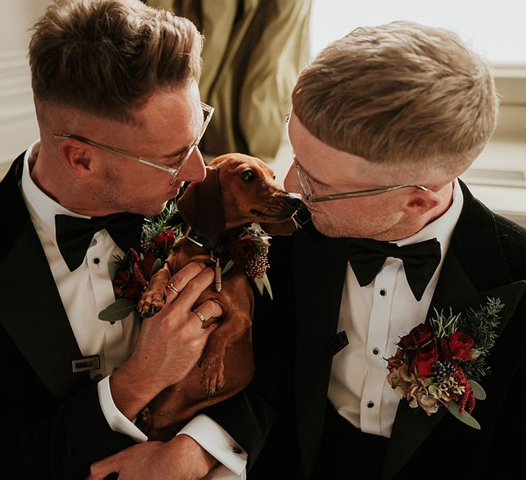 Grooms in black velvet tuxedos, white shirts, black bowties and red rose and foliage boutonnieres holding sausage dog at stylish city wedding