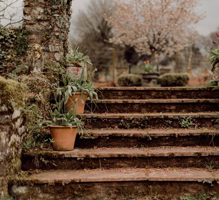 Garden steps at Hayne, Devon for garden party wedding with applique veil