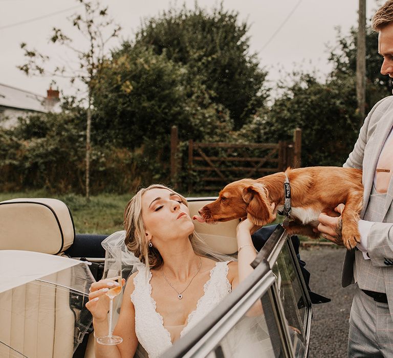 Bride and groom with their pet dog 