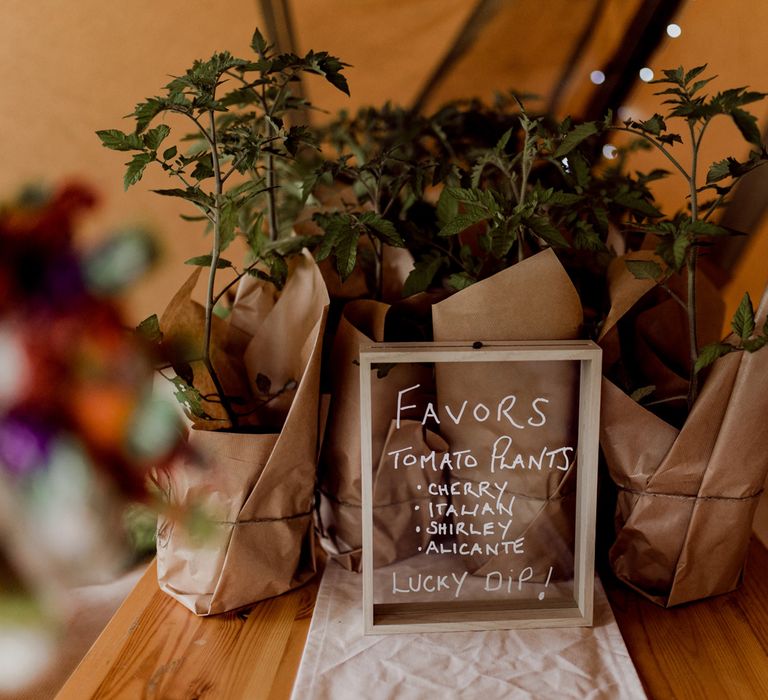 Tomato plants wrapped in brown paper behind acrylic wedding favour sign at home farm wedding