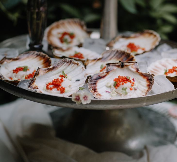 A silver plate of oysters with red caviar. Photography by Rebecca Goddard.