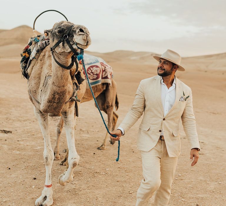 The groom leads a camel around the Marrakech desert for elopement wedding