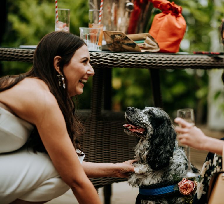 Bride in white strapless Rebecca Vallance dress bends down to stroke black and white spaniel whilst smiling at wedding guest at Hotel du Vin wedding reception in Harrogate