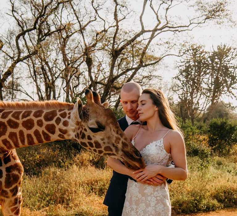 Bride in lace sleeveless wedding dress with puddle train standing with groom in classic black grooms suit with white pocket square and giraffe at Giraffe Manor wedding venue