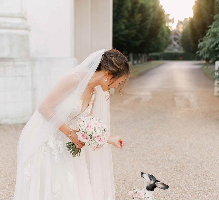 Bride leans down to her dog wearing flower collar on her wedding day