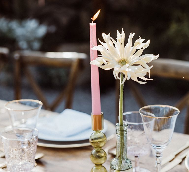 Pink taper candles and white flower stem for the table decoration