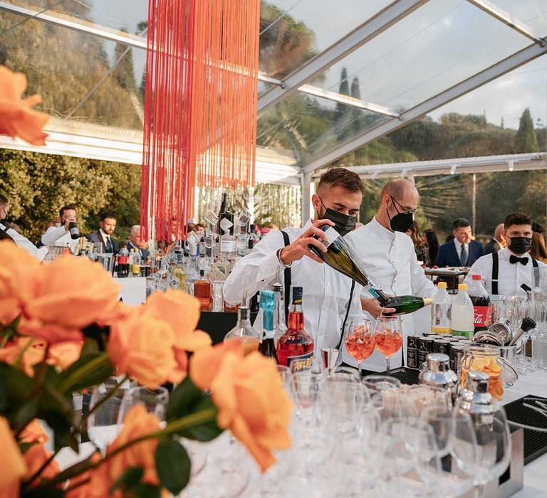 Bright string fabric hangs behind bar in greenhouse in Florence 