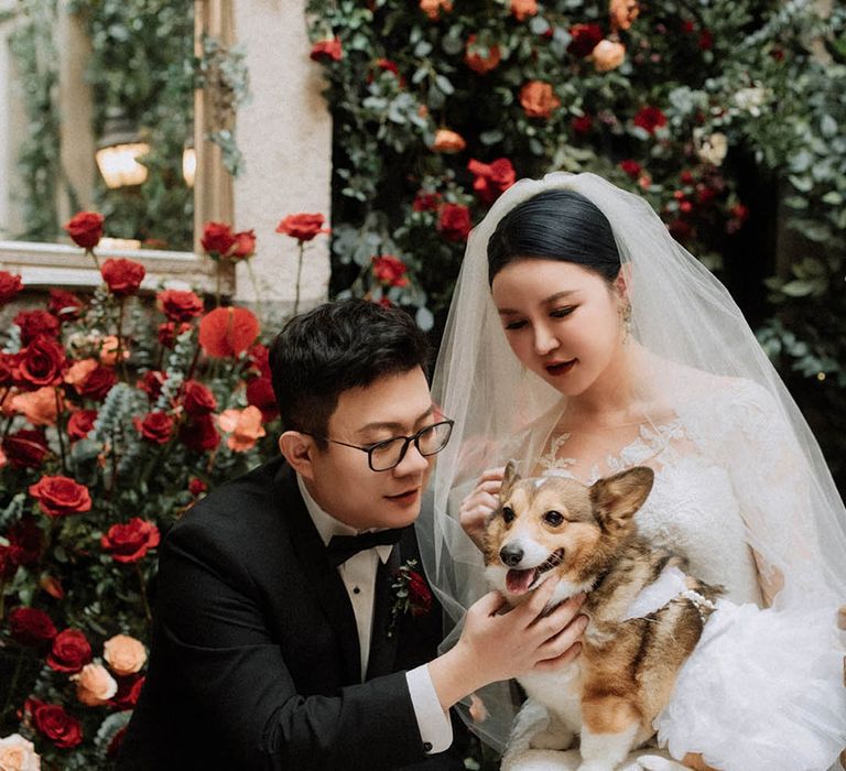 The bride and groom posing with their precious pet dog on their wedding day 