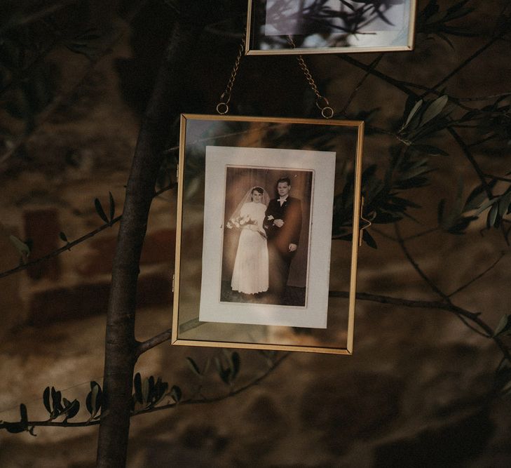 Memorial family photo hanging from olive tree of Bride's parents