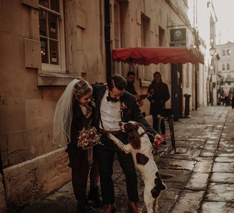 Bride and groom with their Springer Spaniel dog