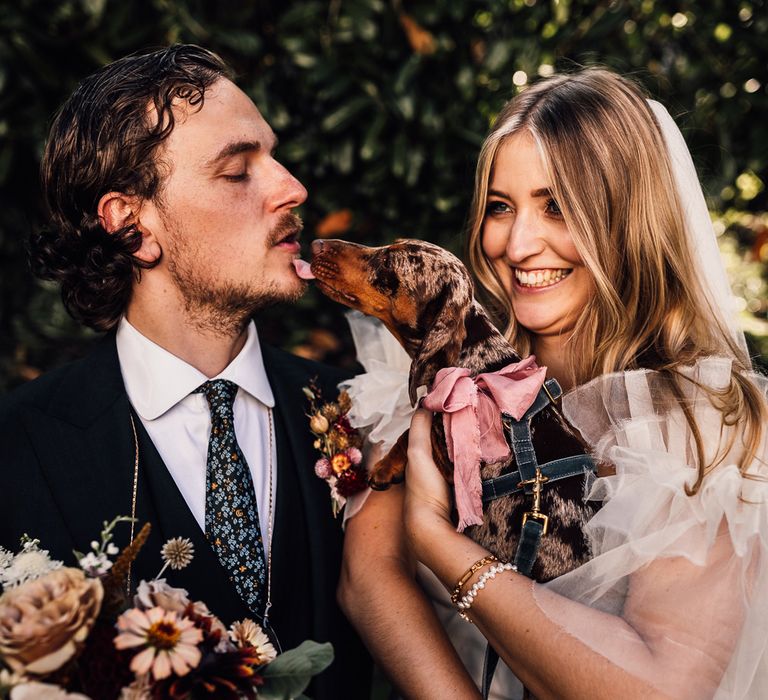 Bride in white Halfpenny London Mayfair dress and veil holding daschund with pink bow as it licks groom in blue suit and patterned tie holding mixed wedding bouquet for Cornish wedding reception