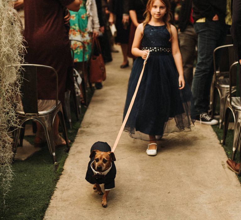 Flower girl in a navy dress walking the pet dog up the aisle 