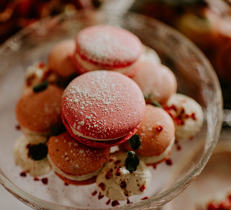 Pink macaroons dusted with icing 