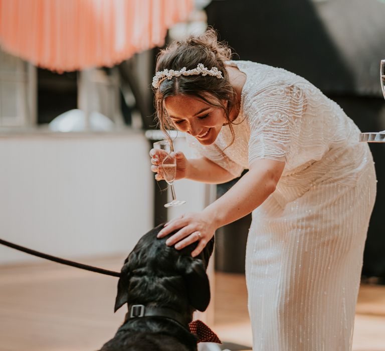 Bride leans down to pet black Labrador dog who wears polka dot bow tie