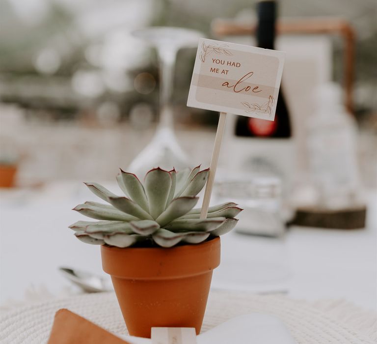 Small potted aloe vera with stick sign reading 'You had me at aloe' on table at marquee wedding reception in Bedfordshire