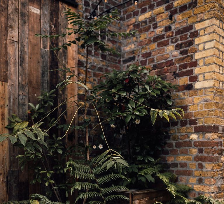 Potted plant wedding decor at 100 Barrington wedding venue in London 