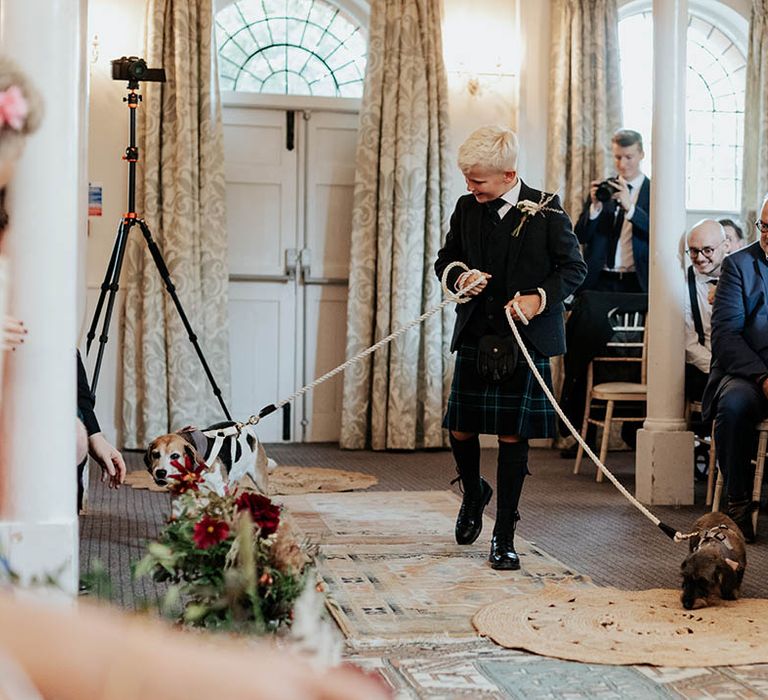 Page boy in a kilt with dog ring bearers on leads walking down the aisle 